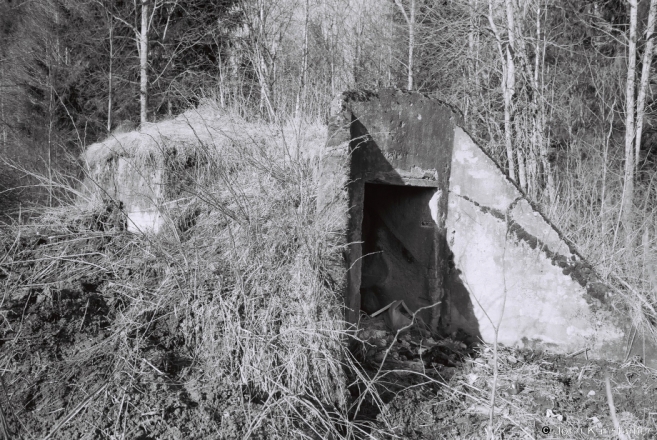 2.Storage Bunker for Border-Guard Post of Second Polish Republic, nr. Starynki 2017, 2017088c-15A