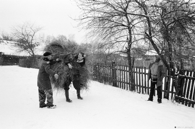 2.Misha Naskjevich Carrying Extra Hay for Granny Prosja's Feed Stock, Tsjerablichy 2016, 2016343a- (65650017