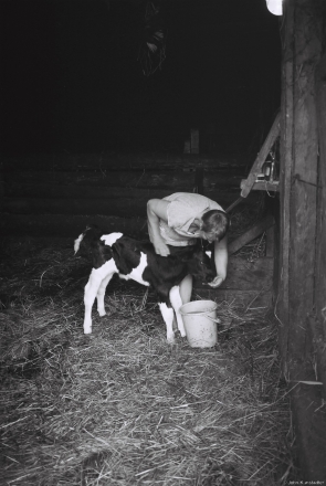 2.Family-Farming-in-Polesia-2014-2014184-8A