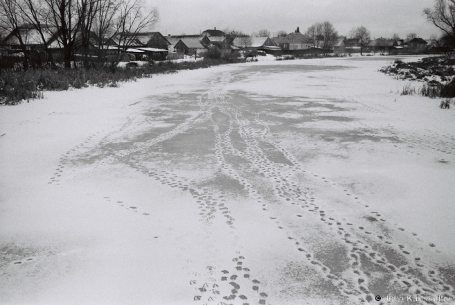 2.Geese Tracks on Lake Sijatsy, Vjeljamichy 2016, 2016344a- (F1080003