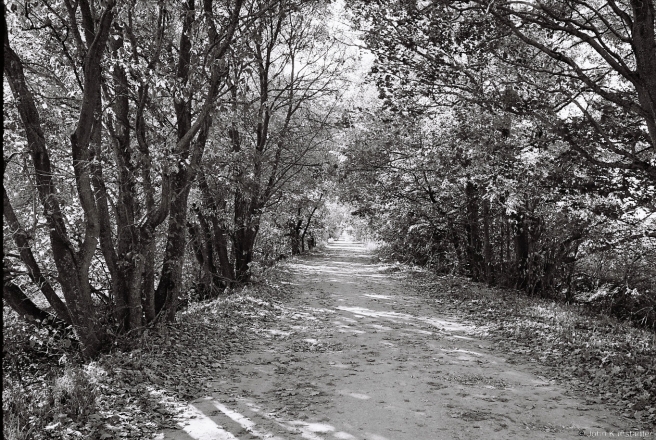 2.Old Road from Ivashkautsy to Narbuty 2015, 2015, 2015343-32 (000064