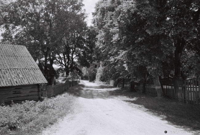 2.Papjeljevichy-2019-2019118d_31