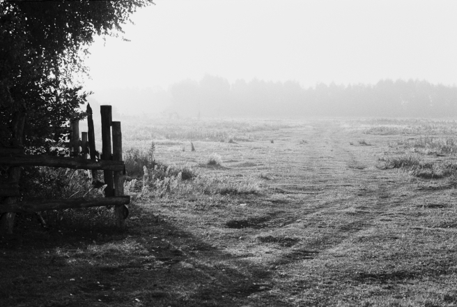 2.Polesian-Autumn-Morning-Tsjerablichy-2019-2019242a-31A