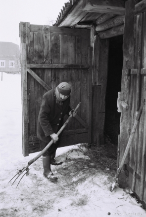 2.Portraits of Polesia, Prosja Tidying up the Barnyard, Tsjerablichy 2016, 2016339d- (F1130030