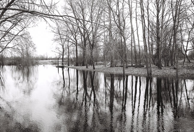 2.Rhythms and Rites of Approaching Spring, Beginning of Spring Flood on the River Moustva, Machul' 2016, 2016087b- (2) (000061