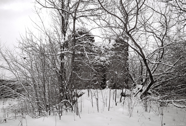 2.Ruins of Icehouse, Former Nezabytouski Estate, Vjalikaja Svarotva 2016, 2016006-18A(2) (000048