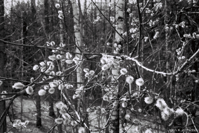 2.Early Spring, Shypilavichy 2015, 2015076-1A