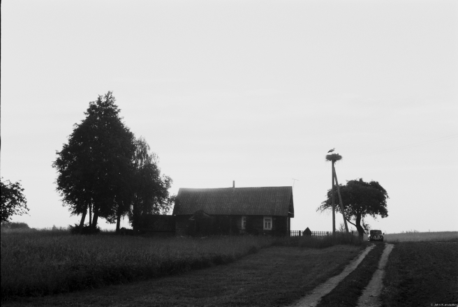2.Silhouettes-at-Dawn-Papshychy-2019-2019076b-15A