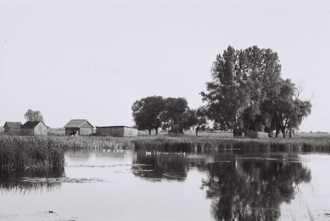 2.Summer-Evening-Vjeljamichy-2012-2012195a-9A