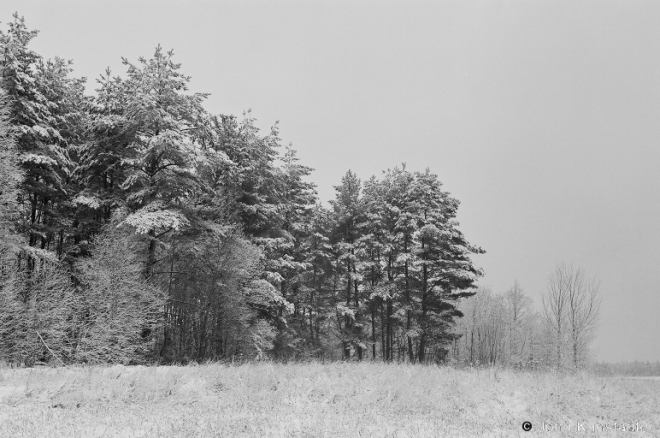 Winter Landscape, Mjensk-Ashmjany Road 2008, 2008083-23A