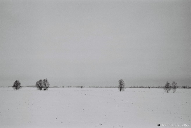 2.Winter in Polesia, from the Al'shany-Ramjel' Road 2014, 2014011a-30