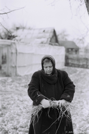 2.Wrapping Fruit Trees with Straw Rings, Tsjerablichy 2018, 2018002b- (F1040034