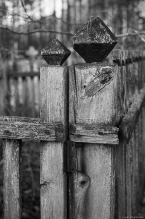 Wooden Grave Enclosure, Babtsy Cemetery 2014, 2014399-23A