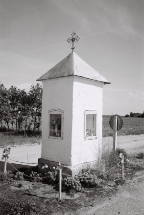 20a.Roadside Shrine at Southern Edge of Sjaljets (Vishnjeva Local Council, Smarhon' District) 2017, 2017135a-5A (000041