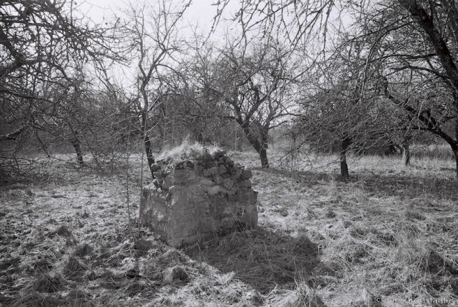 23.Fragment-of-German-WWI-Fortification-Aljeshyshki-2016-2016116-19A