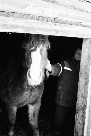 23c.Masha the Mare and Her Owner, Hajna 2016, 2016349-36A(2)