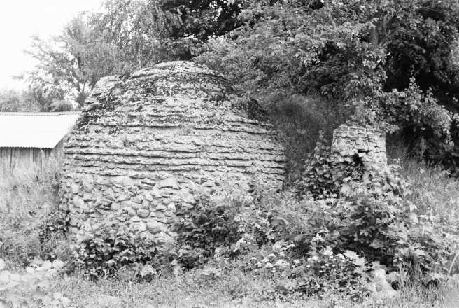 24c.Ruins-of-Ice-House-Former-Jasiewszczyzna-Estate-2019-2019081a-15A