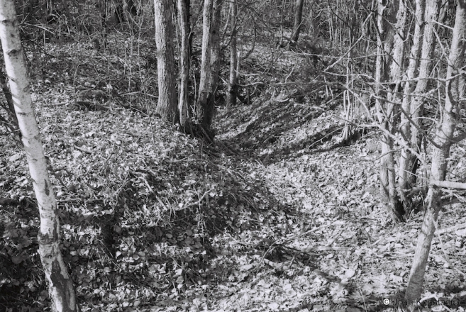 26a.German-World-War-I-Trenches-next-to-Tatar-Cemetery-Lastai-2016-2016114b-8A