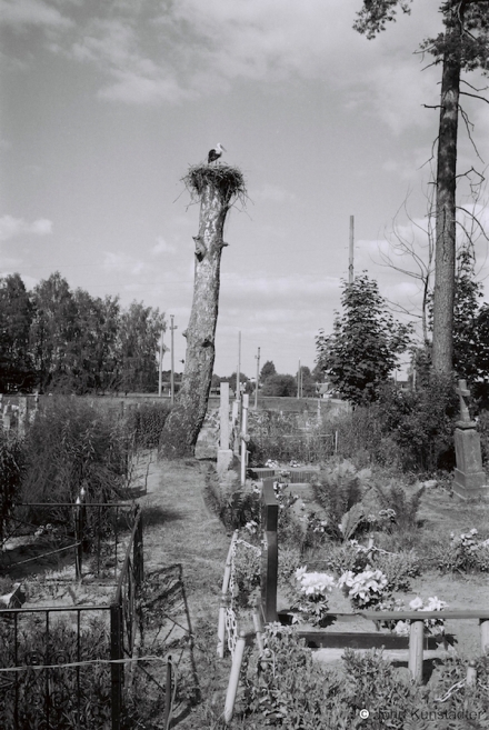 26b.Ivashkautsy-Cemetery-2016-2016237a-6A