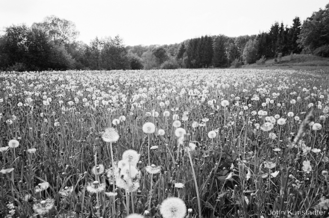 29-near-zjabki-2007-2007236-31