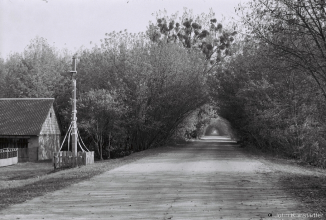 2a.Crosses-of-Belarus-CVII-Roadside-Cross-and-Tunnel-of-Trees-Dubaj-2018-2018278a_00A