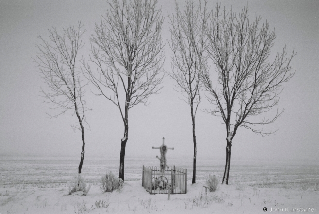 2a.Crosses of Belarus LXV, Kalantai 2017, 2017010- (F1000019