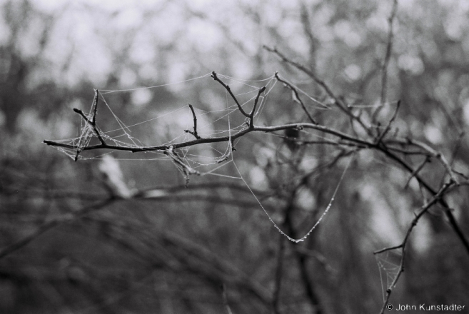 October Fog, Tsjerablichy 2014, F1140003(2014373-