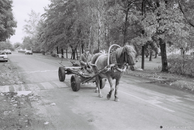 2a.Horsecarts of Vjeljamichy 2017, 2017243c- (F1100022