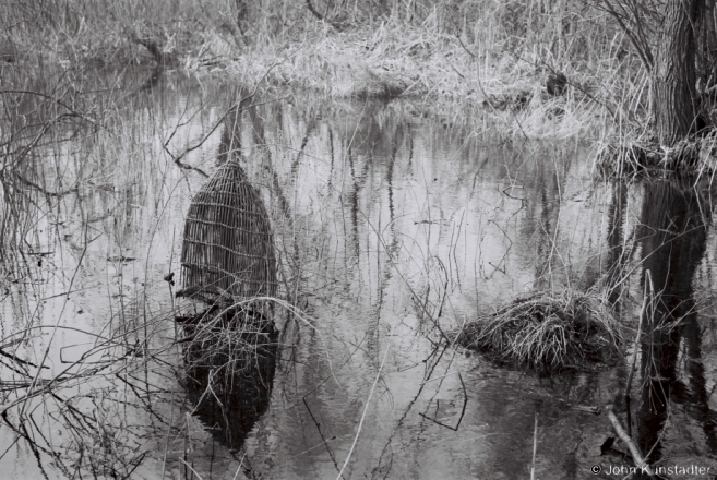 Spring Flood in the Pripet Marshes, Khrys'tsibalavichy 2010, 2010035-24.jpg