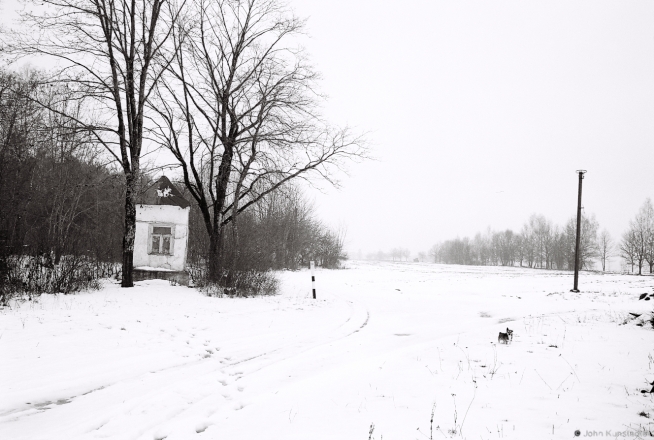 2a.Roadside Marian Shrine, Matsavichy 2016, 2016049b-27A(2) (000057