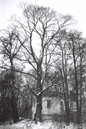 Photo Expedition to Chervjen' District, Churches of Belarus LXXXVIII, Ruins of R.C. Church of St. Anthony of Padua, Ravanichy 2015, F1090012(2015015-