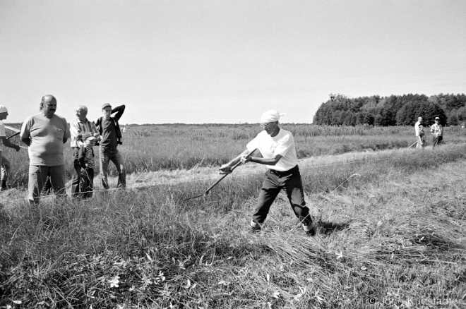 2a.Mikhail Dzjetsuk, Sporauski Scything Competition, Vysokaje 2016, 2016260-21A (00050021