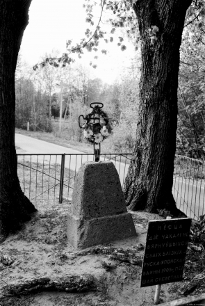 2a.Spot-Where-Relatives-Waited-for-Soldiers-Who-Never-Returned-from-the-Wars-of-1905-1914-18-Halynka-2019-2019057-22A