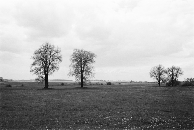 2a.View-Westward-from-Hurnaushchyna-2019-2019053b-36
