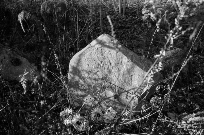 Tombstone, Babtsy Cemetery 2014, 2b.2014398-33A
