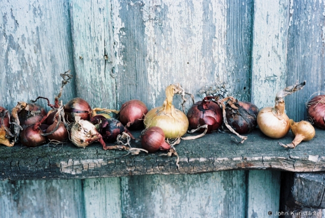 2b.Harvest Colors, Tsjerablichy 20152015331a-7A (F1010008