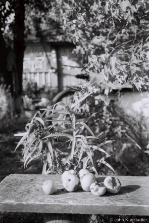2b.Apple Season, Tsjerablichy 2016, 2016268b- (F1130034