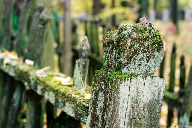 2b.Cemetery, Babi Ljes 2017,2017254-26A (000057