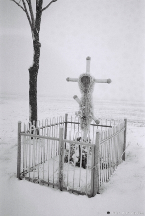 2b.Crosses of Belarus LXV, Kalantai 2017, 2017010- (F1000014