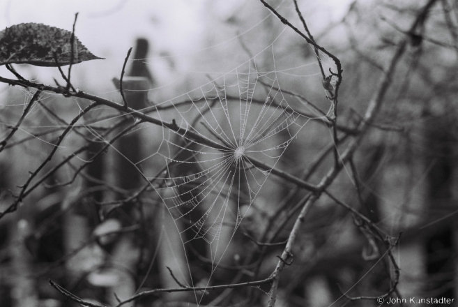 October Fog, Tsjerablichy 2014, F1140010(2014373-