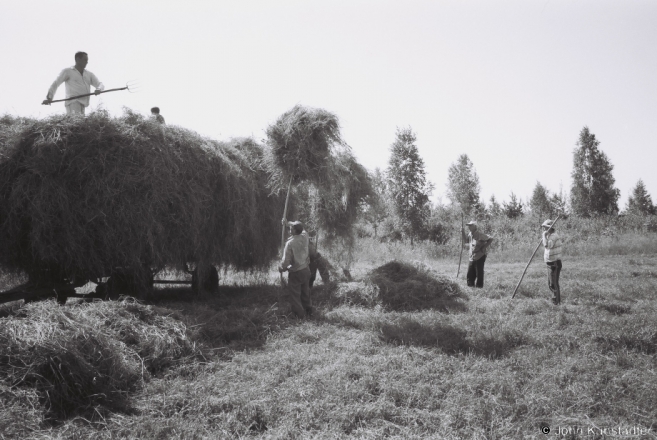 2b.Family-Farming-in-Polesia-Haying-Tsjerablichy-Meadows-2012-2012198-24