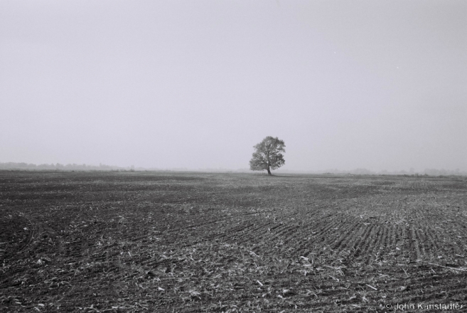 Oak, Tsjerablichy-Machul' Road 2014, F1070026(2014374-