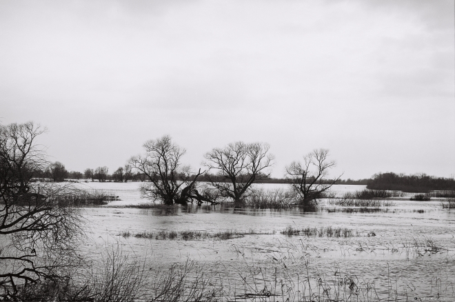 2b.Spring Flood on the Pripet 2018, 2018043b-22A (000056