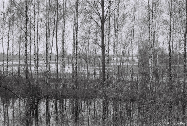 2b.Polesian Spring, Tsjerablichy 2018, 2018082_10