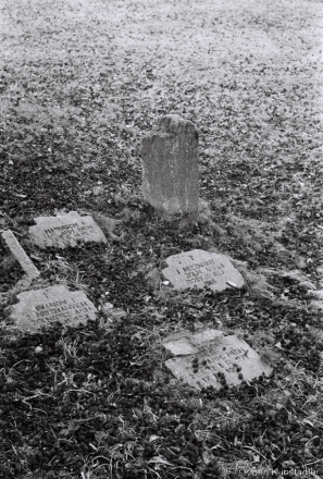 2b.World-War-I-Cemeteries-XXXI-German-Cemetery-Pinsk-2020-2020018b_11A