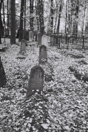 2c.Cemetery, Babi Ljes 2017,2017255- (F1080036