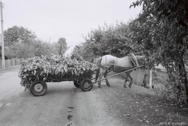 2c.Horsecarts of Vjeljamichy 2017, 2017243c- (F1100025