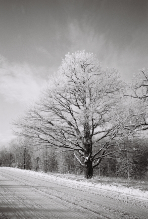 2c.Road to Ardashy 2016, 2016010-2A(2) (000003