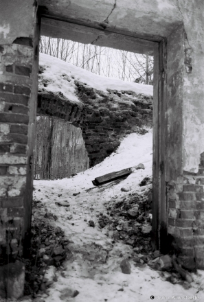 2c.Churches of Belarus CCC, Ruins of R.C. Church of the Assumption, Dubrava 2019, 2019017b_36A