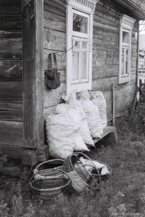 2c.Sorting Potatoes from the Family Plot, Tsjerablichy 2017, 2017200- (F1010030